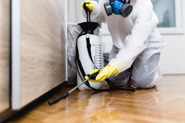 Best Pest Control Near Me in Waimalu, HI