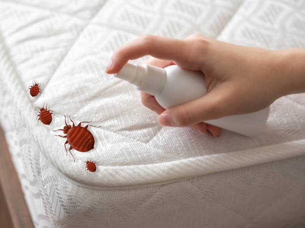 Best Flea Control Services  in Waimalu, HI