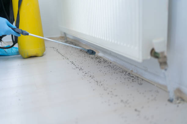 Best Best Pest Control Companies  in Waimalu, HI